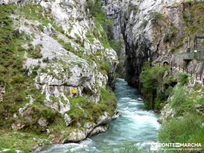 Ruta del Cares - Garganta Divina - Parque Nacional de los Picos de Europa;viajes de verano